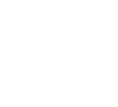 Mont Sinai Logo